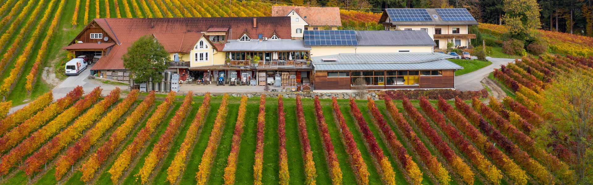 Weinbau Jöbstl, Schilcherei, Weingarten Weststeiermark