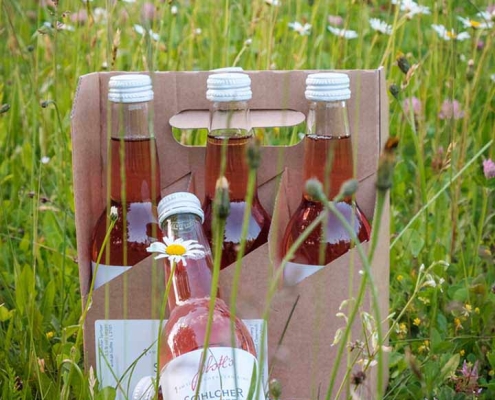 Spritzer Schilcherspritzer Schilchermischung, vegan, Weingut Jöbstl, Schilcherei, Weststeiermark online kaufen