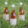 Schilcherspritzer mit Holundersirup, Holodri, Spritzer vegan, Weingut Jöbstl, Schilcherei, Weststeiermark online kaufen