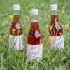 Spritzer Schilcherspritzer Schilchermischung, vegan, Weingut Jöbstl, Schilcherei, Weststeiermark online kaufen