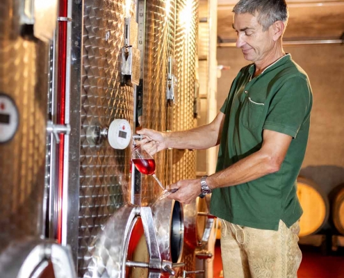 Fassprobenverkostung Steiermark, Schilcherland, Weingut Jöbstl, Wein online kaufen, vegan