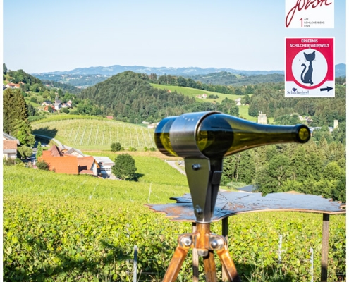 wandern rundweg schilcher erlebnis weinwelt deutschlandsberg weingut jöbstl schilcherei schilcher erlebnis weinwelt 1 steiermark rundweg