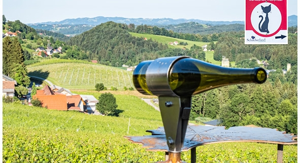 wandern rundweg schilcher erlebnis weinwelt deutschlandsberg weingut jöbstl schilcherei schilcher erlebnis weinwelt 1 steiermark rundweg