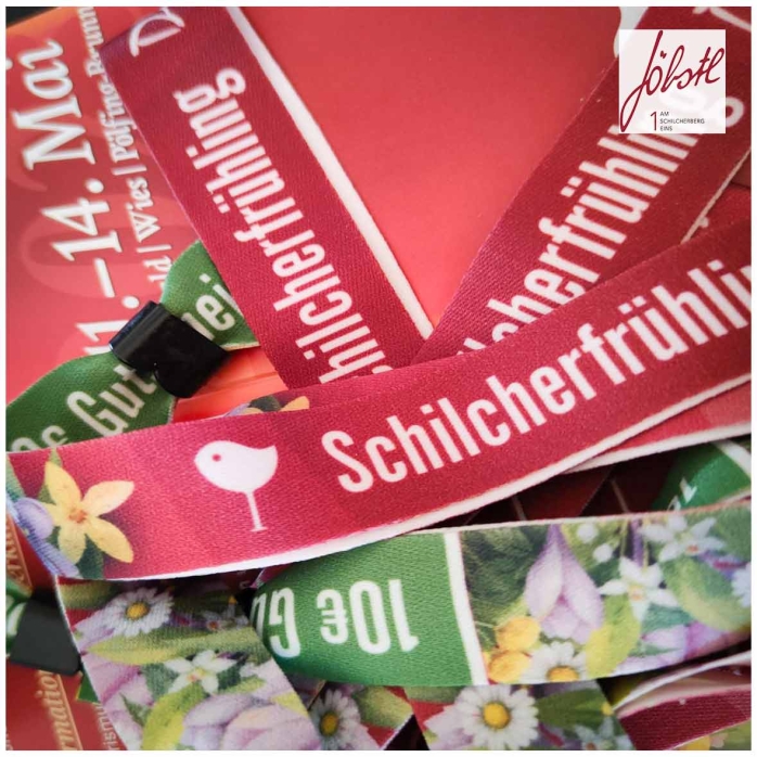 schilcherfrühling wies, schilcher verkosten, schilcherberg, wein online kaufen, steiermark