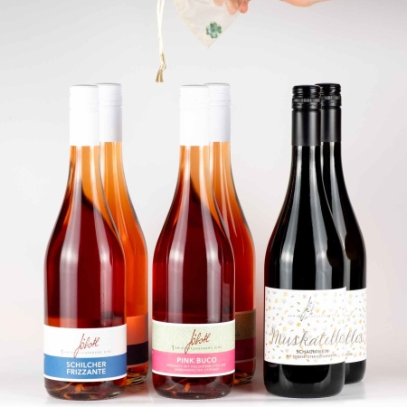 Frizzante, Schilcher, Holunderblüten, Gelber Muskateller, Wein, Weststeiermark DAC, vegan, Schilcherei®, Weingut Jöbstl, Wies - online kaufen