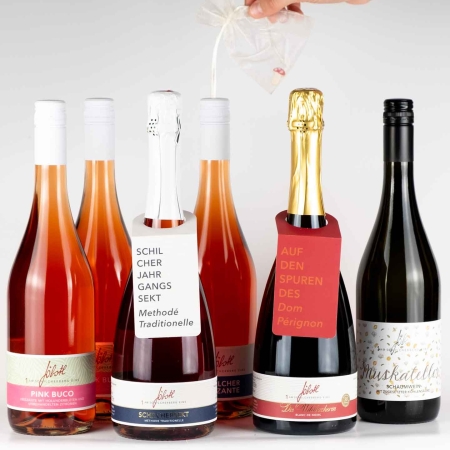 Frizzante, Jahrgangssekt, Schilcher, Holunderblüten, Gelber Muskateller, Wein, Weststeiermark DAC, vegan, Schilcherei®, Weingut Jöbstl, Wies - online kaufen