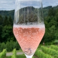 sparkling rose, alkoholfreier frizzante, verjus, blauer wildbacher, Schilcher, Wein, vegan, Weststeiermark, Schilcherei®, Weingut Jöbstl, Wies - online kaufen